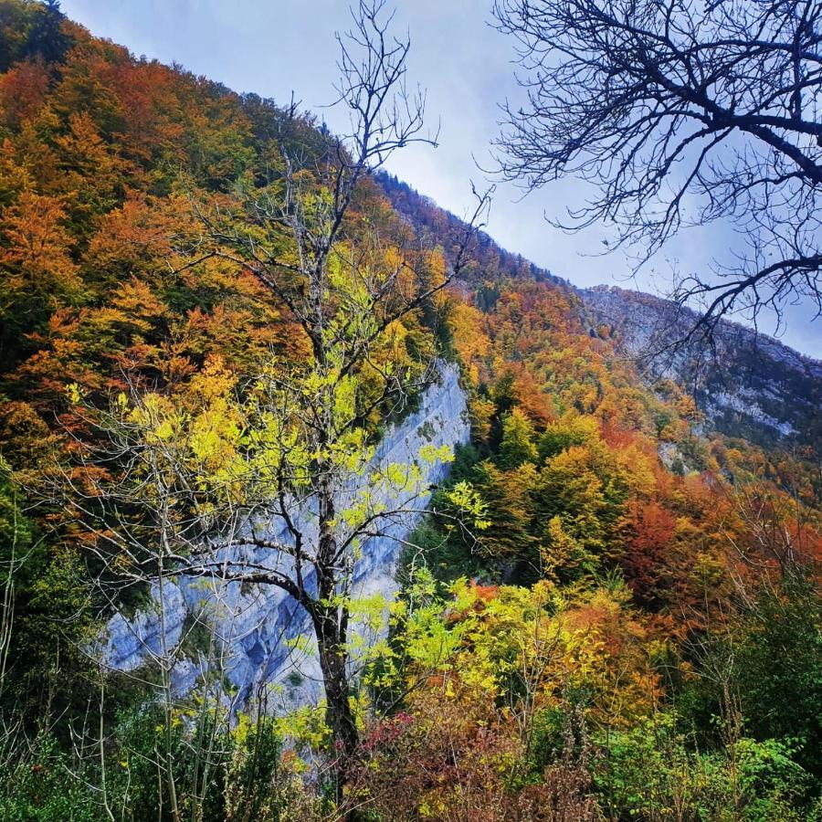 Gite Les Moulins Septmoncel-Les-Molunes Dış mekan fotoğraf